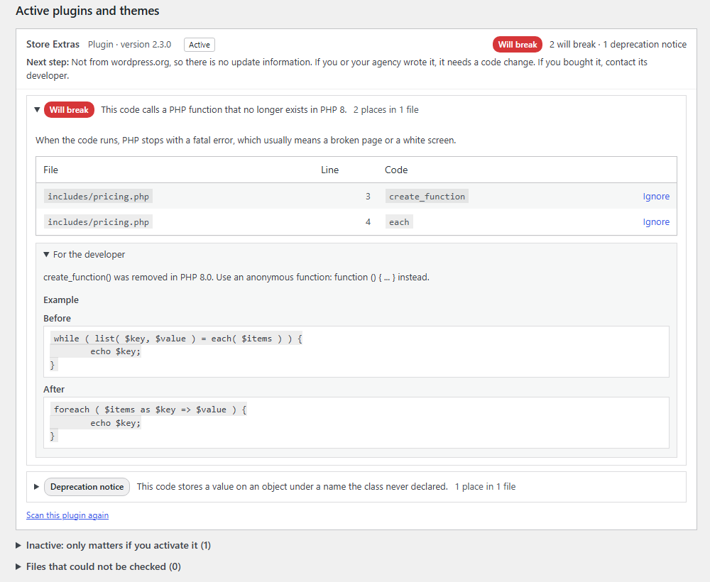 One plugin opened in the report, with its next step and each issue explained.